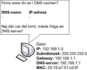 Dator kontrollerar DNS-cache